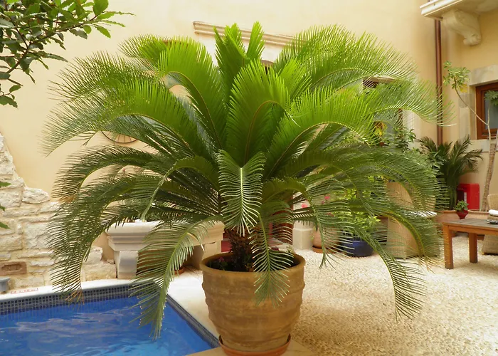 Palazzino Di Corina Rethimno